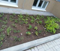Škola v areálu nemocnice se dočká zahrady
