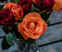 Růžová zahrada - 6. ročník celostátní výstavy růží, letních květin a zahradnické trhy 