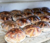 Veřejné pečení chleba a košíkářská dílna ve Štolmíři